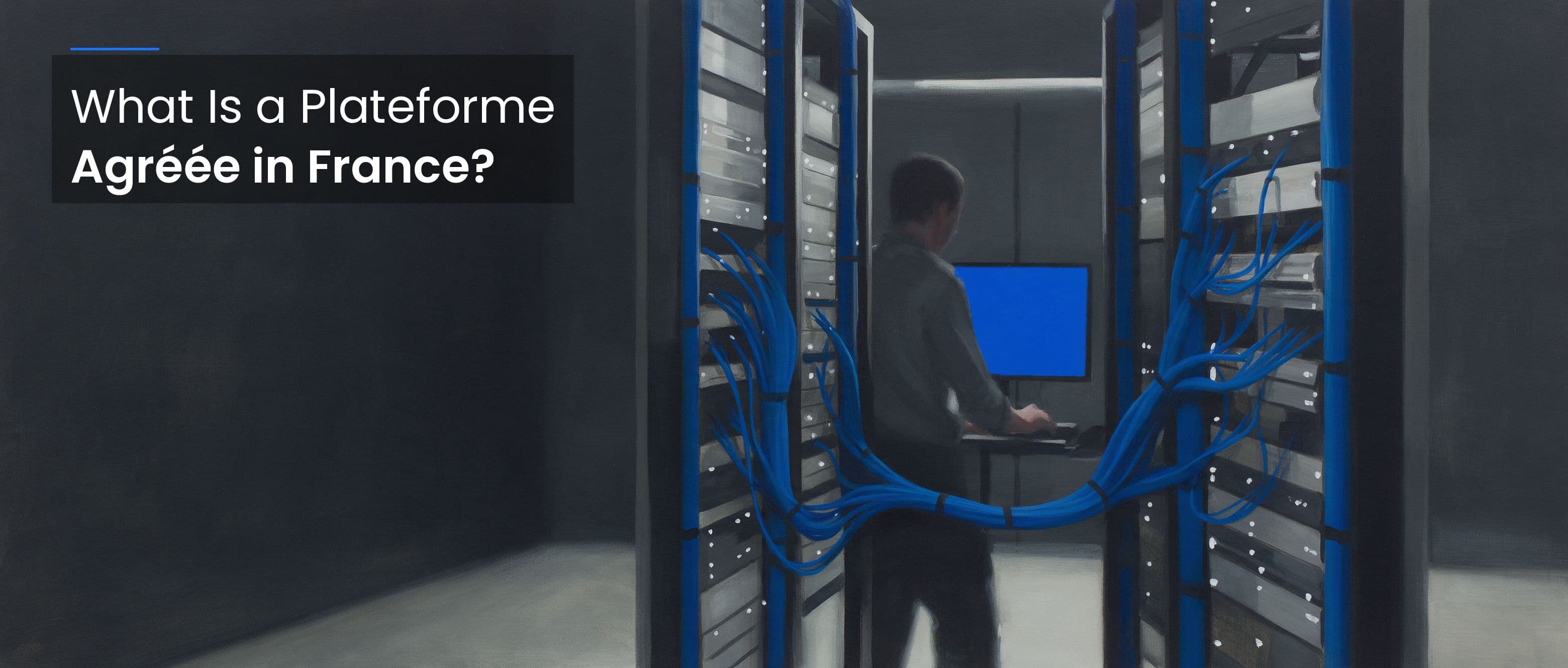 What Is a Plateforme Agréée in France?