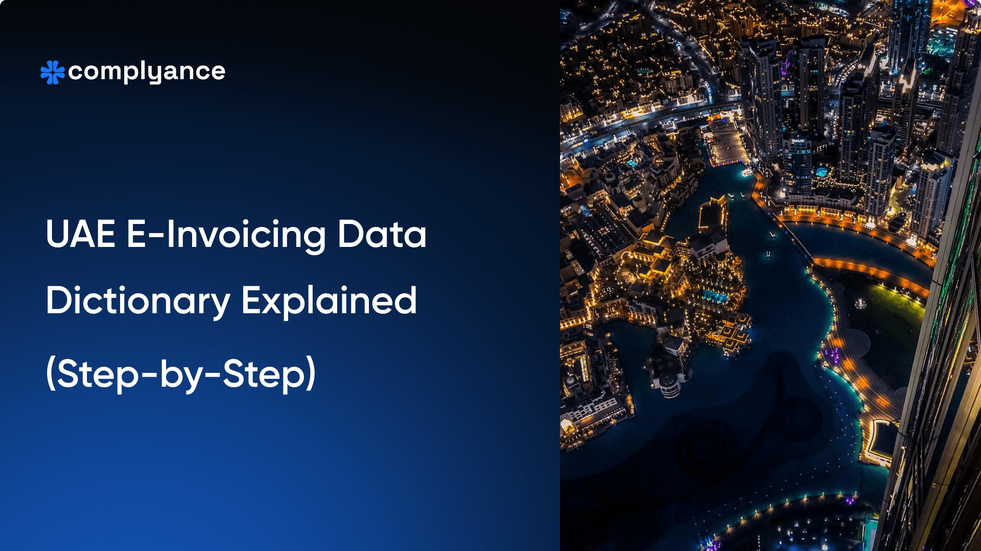 UAE E-Invoicing Data Dictionary Explained (Step by Step)