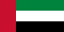 UAE flag